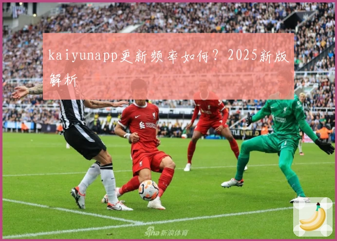kaiyunapp更新频率如何？2025新版解析