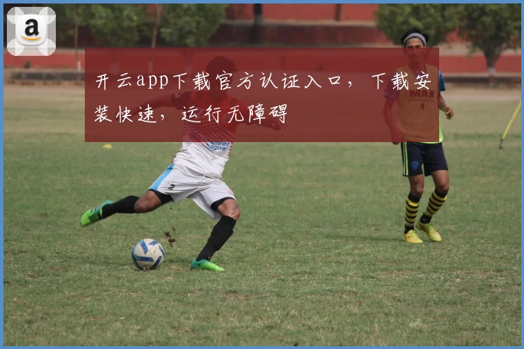 开云app下载官方认证入口,下载安装快速,运行无障碍